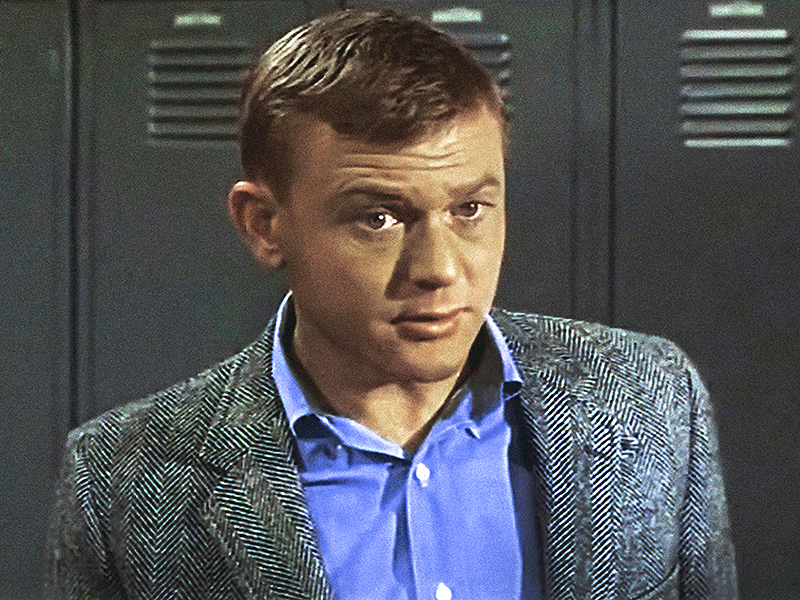 Martin Milner Dead: Adam 12, Route 66 Star Was 83 : People.com