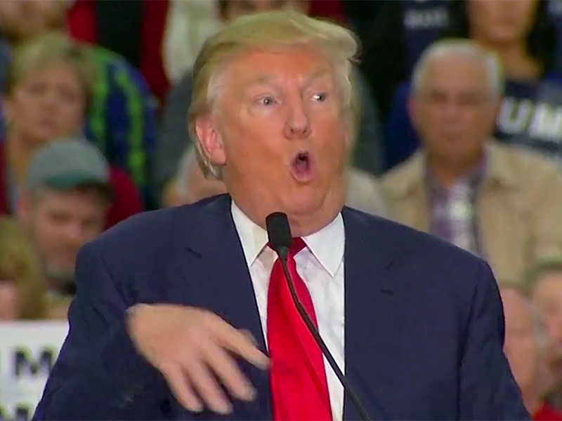 trump mocks disabled reporter video