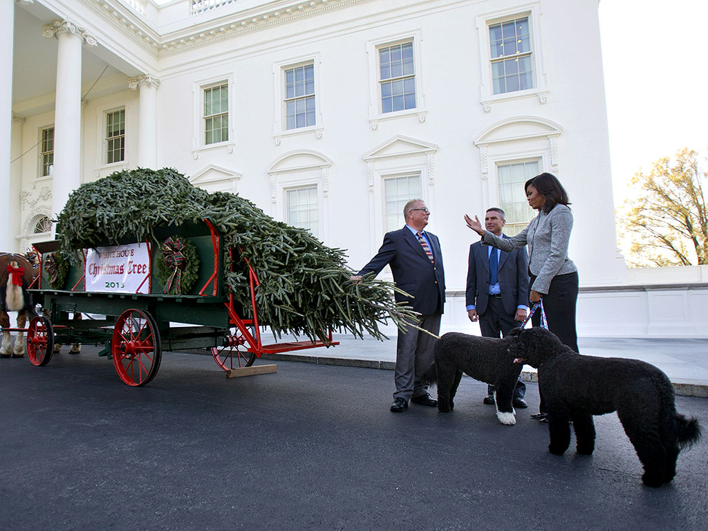 michelle obama kicks off holiday season as first christmas michelle obama kicks off holiday season as first christmas