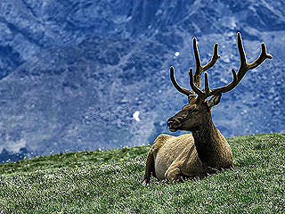 11 Unreal National Parks to Visit in Your Lifetime