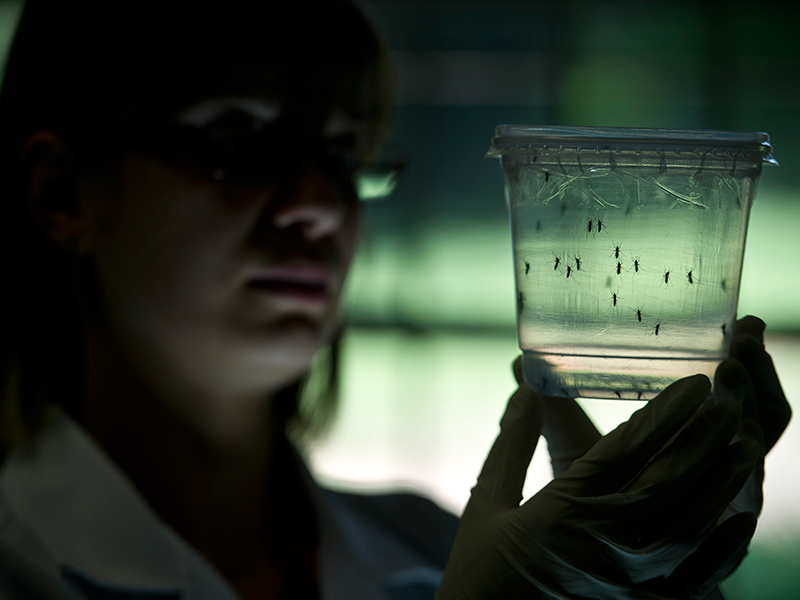 U.S. Health Officials Admit Zika Virus is 'Scarier Than We Initially Thought'| Medical Conditions