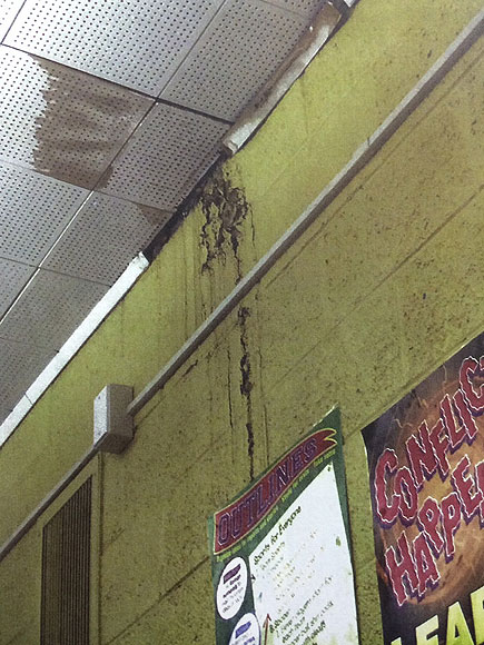 Detroit's Public Schools Are in Crisis: Students and Teachers Deal Daily with Rats, Mold and No Heat| Real People Stories