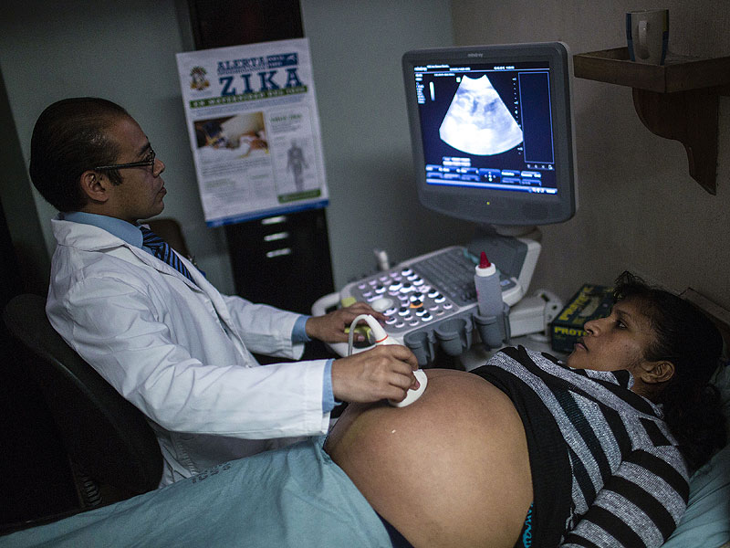 Three Pregnant Women in Florida Test Positive for Zika Virus| Pregnancy, Medical Conditions, Pregnancy