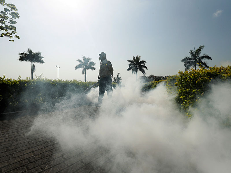 Three Pregnant Women in Florida Test Positive for Zika Virus| Pregnancy, Medical Conditions, Pregnancy