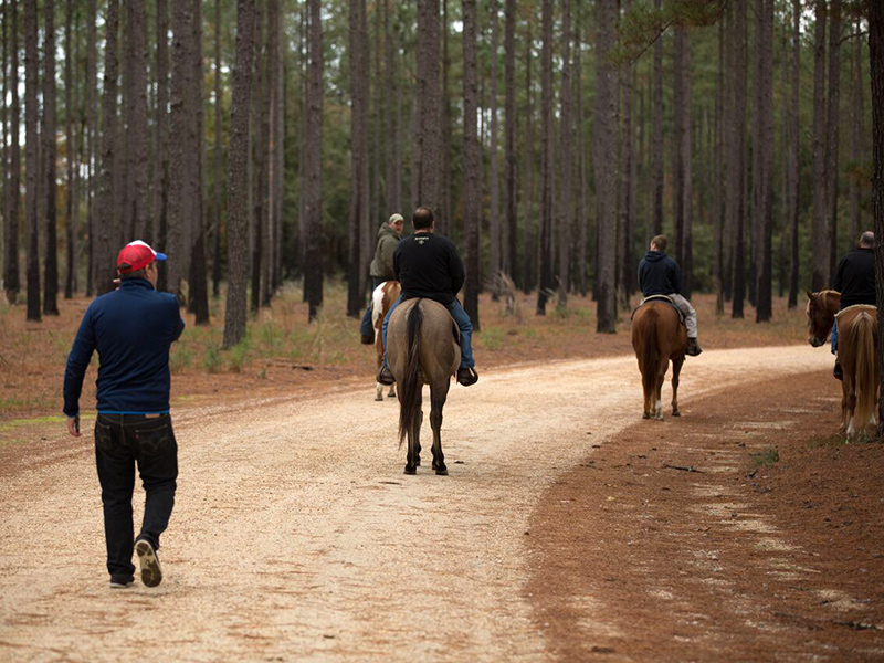 WATCH: Sexual Abuse Survivor Helps Addicts Heal Through Equine Therapy: 'Your Story Can Save Someone's Life'| Horses, Rehab, Sexual Assault/Rape, Substance Abuse, Real People Stories