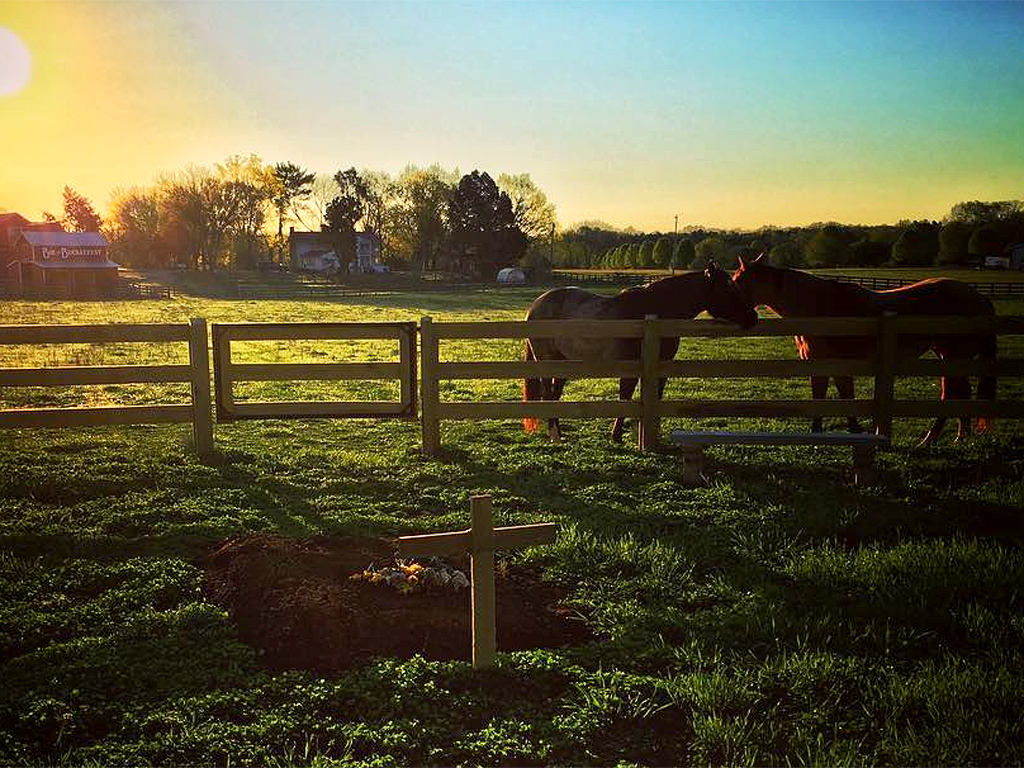 Rory Feek Shares Photo of Joey Feek's Grave on Family Farm, Weeks after Death