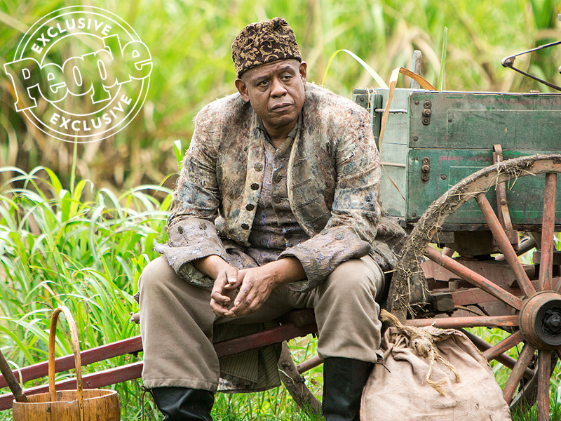 FIRST LOOK: Meet the Powerful New Cast of History's Roots| History Channel, Roots, People Picks, TV News, Forest Whitaker