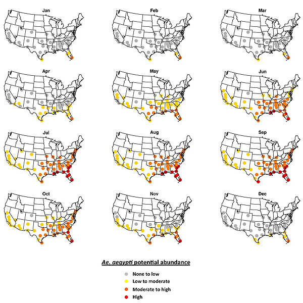 U.S. Reports First Zika-Related Death in Puerto Rico as NASA Predicts the Virus' Potential Spread| Death, Medical Conditions