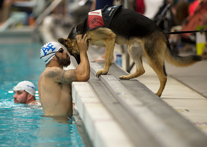 Team USA! Meet the Inspiring Stars of the U.S. Invictus Team| The British Royals, The Royals, Real People Stories, Military and Soldiers, Prince Harry