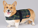 Now Your Dog Can Dress Like the Queen! (Really. In the Exact Same Tartan)