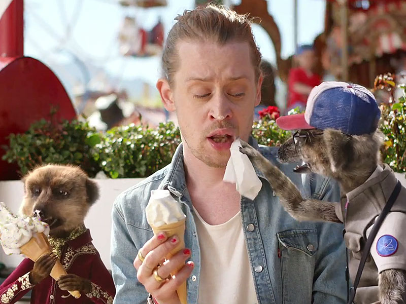 Macaulay Culkin Returns to Television for British Meerkat Movies