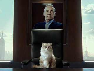 Want to Trade Lives With Your Cat? The New Nine Lives Trailer Might Change Your Mind