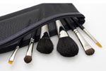 Brush_kitt01 Brush_kitt01