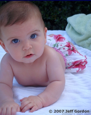 Ellasofiagordon_roses_3_cbb Ellasofiagordon_roses_3_cbb