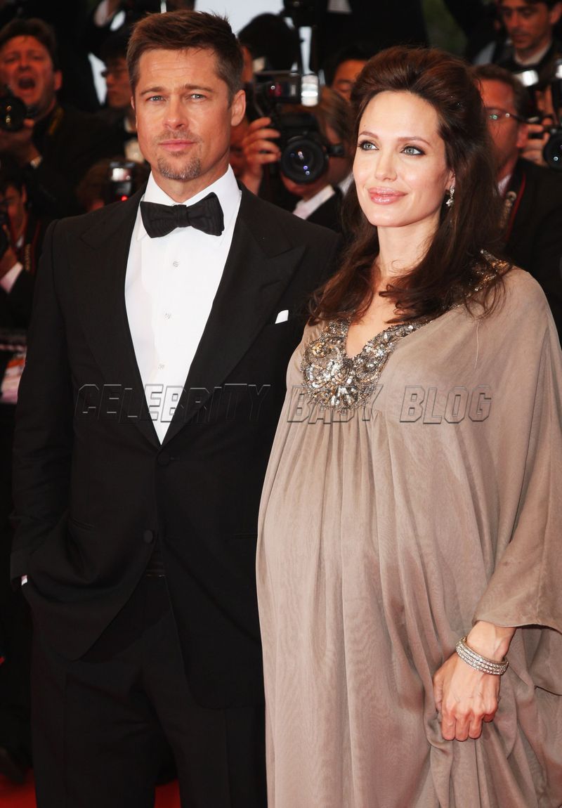Angelina Jolie Pregnant Again With Twins 25