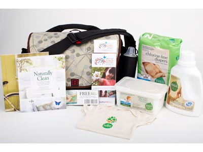 Celebrity Diaper Bags on Wee Generation Eco Diaper Bag  An Earth Friendly Alternative     Moms