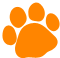 paw