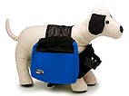 10% Off Stylish Summer Pet Gear