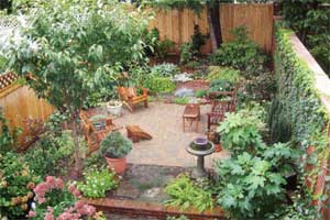 green oasis garden in a small urban space