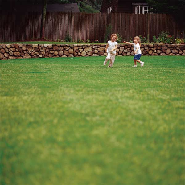 2 little girls playing on a lawn