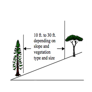 Spacing between trees in a defensible space 