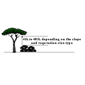 Vertical Clearance in defensible spaces