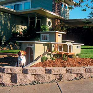 Runner-up doghouse