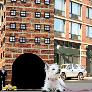 Honorable mention doghouse