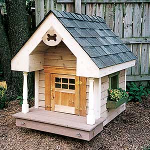 Honorable mention doghouse