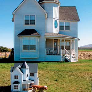 Honorable mention doghouse
