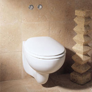 1.6-gallon low-flow toilet 