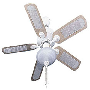 ceiling fan with air filters