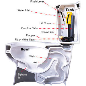 Low-Flow toilet diagram