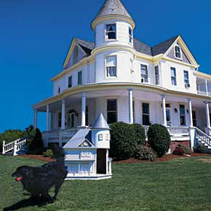 victorian, queen anne doghouse
