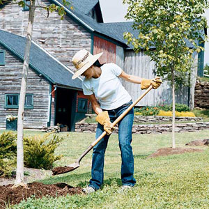 green projects