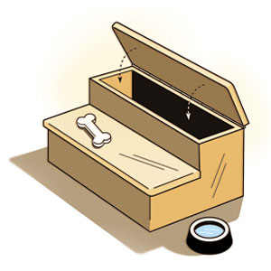 pet steps