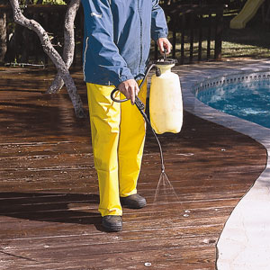 spraying a deck
