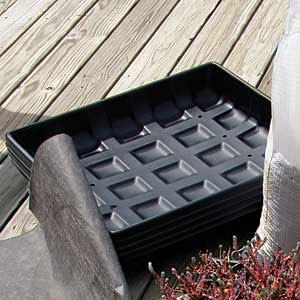 plastic containers to allow plants to take root