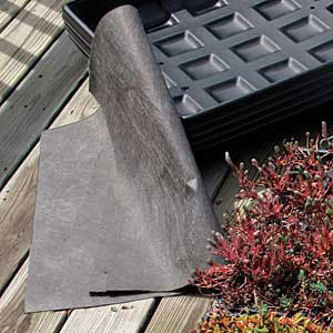 a liner helps filter, hold wet soil in place, and controls unruly root growth