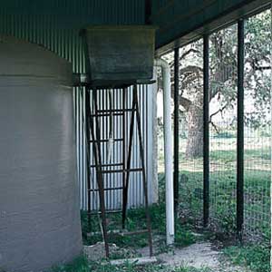 rain collector, rainwater collection system, water conservation