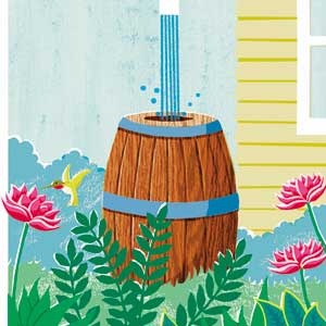 rain barrels