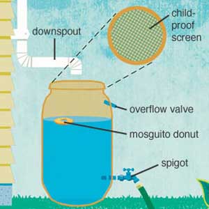 Anatomy of a rain barrel
