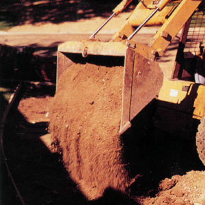 Dump
