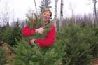 Roger Cook hugging a tree at a Christmas tree farm