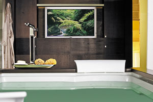 a flat-screen television integrated into a bathroom