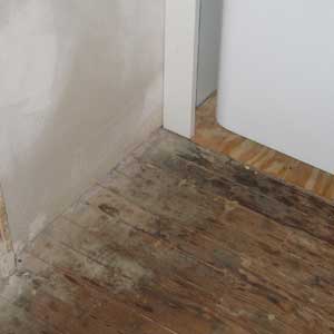 cypress floor in need of refinishing