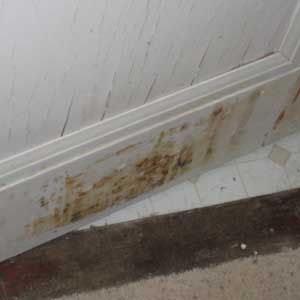 cypress interior doors