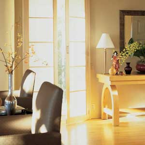 functional door blinds