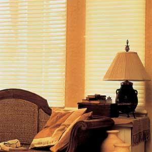 Window Shading