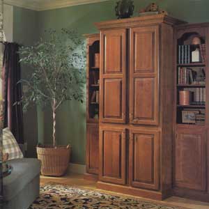 closed media cabinet